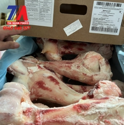 XƯƠNG ỐNG BÒ HUMERUS MIRATOP