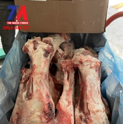 XƯƠNG ỐNG BÒ RADIUS MIRATOP