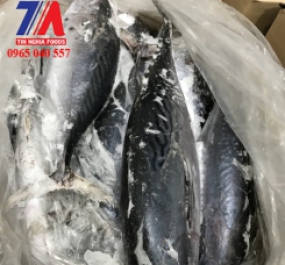 CÁ NGỪ ĐÔNG LẠNH PHÂN PHỐI CHO TRÊN CẢ NƯỚC 0965 040 557 