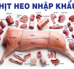 THỊT NHẬP KHẨU UY TÍNH TẠI BẠC CÀ MAU