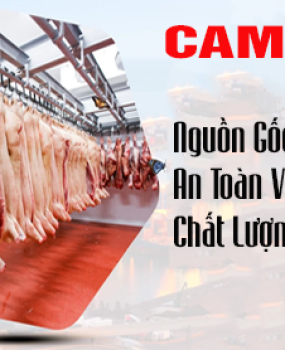 NGUỒN CUNG CẤP THỰC PHẨM ĐÔNG LẠNH SĨ LẼ