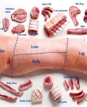 cung cấp thịt heo nhập khẩu