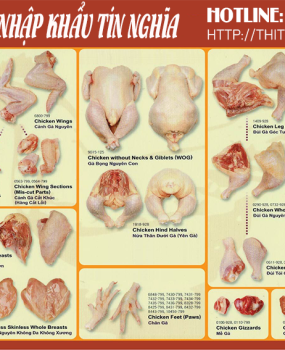 THỊT GÀ NHẬP KHẨU CÓ TỐT KHÔNG -CTY TINH NGHIA  0965 040 557