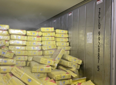 công ty nhập khẩu thực phẩm đông lạnh chợ bình điền