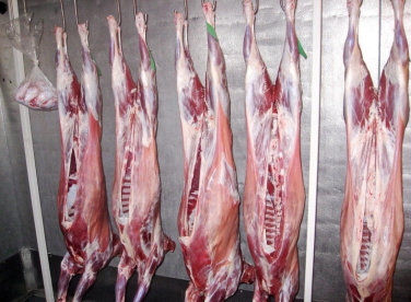 Thịt dê đông lạnh nhập khẩu