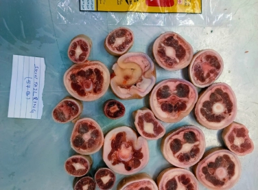 thành phần món lẩu đuôi bò