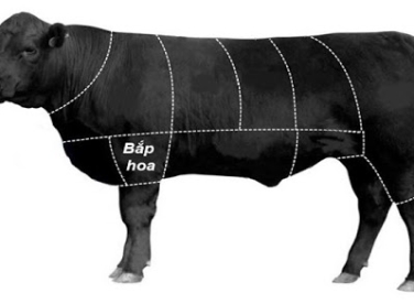 Giá thịt Trâu tươi bao nhiêu tiền 1Kg 2021? Mua bán ở đâu rẻ ngon