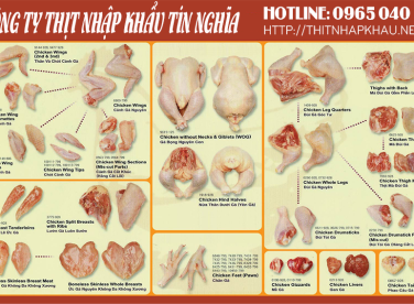 THỊT GÀ ĐÔNG LẠNH GIÁ SỈ