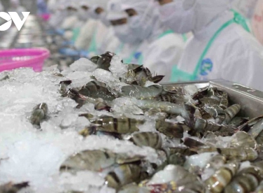 Nguồn thực phẩm gia tăng đảm bảo ổn định thị trường