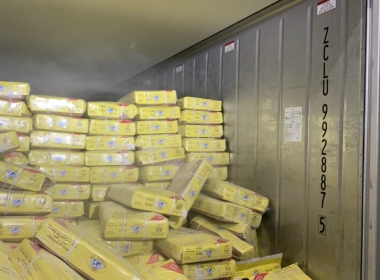 công ty nhập khẩu thực phẩm đông lạnh chợ bình điền