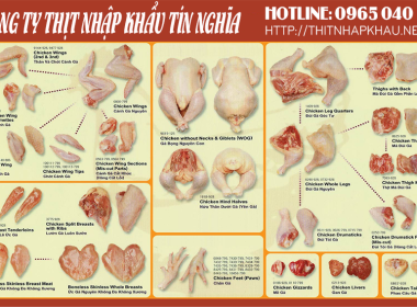 THỊT GÀ ĐÔNG LẠNH GIÁ SỈ 