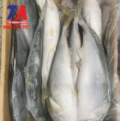 CÁ CAM 1000/2000 NHẬT