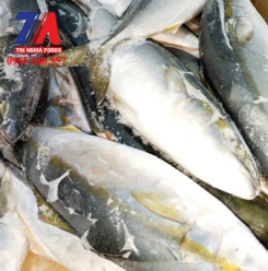 CÁ CAM NHẬT 800-1000