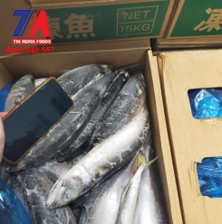 CÁ SA BA NHẬT 400-500G 15KG