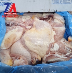 ĐÙI GÀ GÓC TƯ PILGRIM