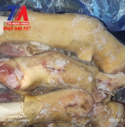 DỰNG BÒ GBP