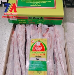 ĐUÔI KHÔNG DA AQ