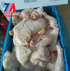 GÀ GÓC TƯ
