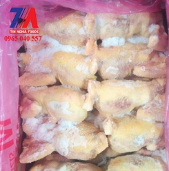 GÀ NGUYÊN CON 12 CON SINGGREEN