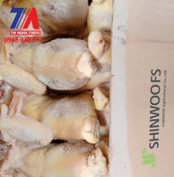 GÀ NGUYÊN CON SHINWOO 10 SIZE 13