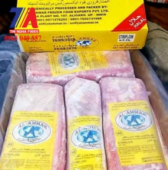 MS 46 (STRIPLOIN) AMMAR KO
