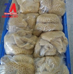 TỔ ÔNG AQ